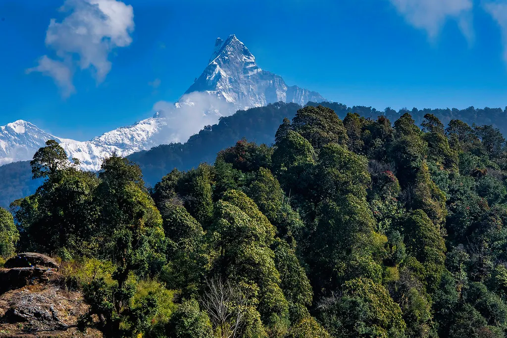 Mardi Himal Solo vs Guided
